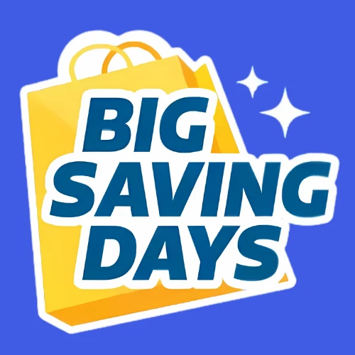 Flipkart Big Saving Days
