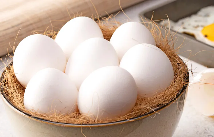 chicken egg rate
